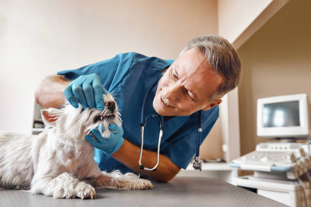 Best Emergency Tooth Extraction in White Settlement, TX